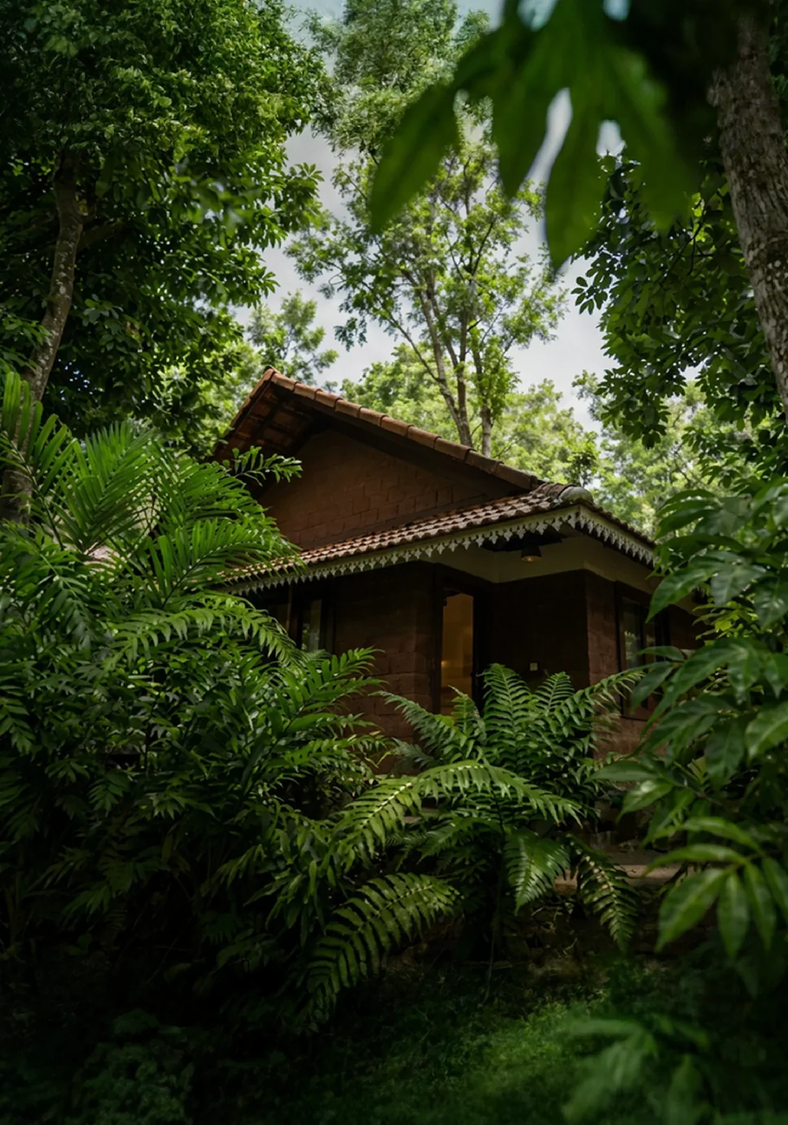 An Ashvana cottage nestled among ferns and forest green